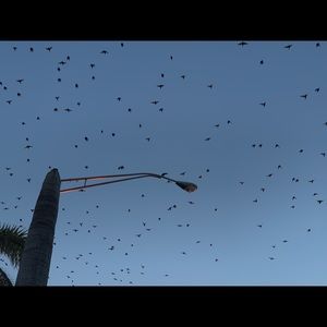 Meet your Posher, Marcia